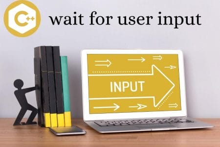 C wait for user input