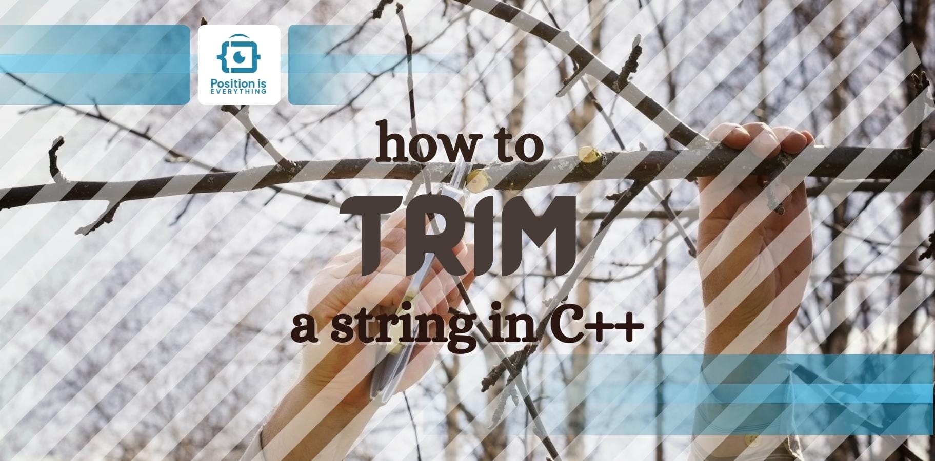 C++ String Trim Four Different Ways To Remove Whitespaces